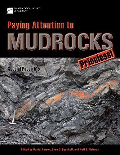 Paying Attention to Mudrocks: Priceless!