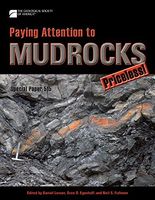 Paying Attention to Mudrocks: Priceless!