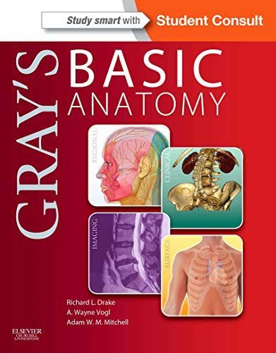 Gray's Basic Anatomy