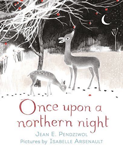 Once Upon a Northern Night