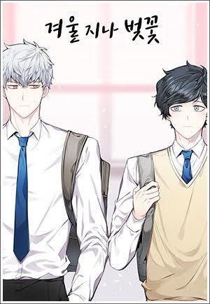 겨울 지나 벚꽃 [Cherry Blossoms After Winter]