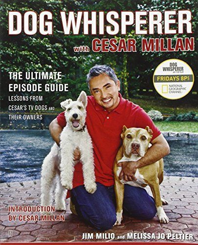 Dog Whisperer with Cesar Millan