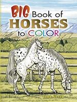Big Book of Horses to Color