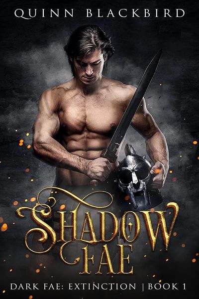 Shadow Fae (Dark Fae