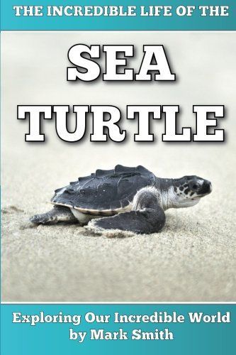 The Incredible Life of the Sea Turtle
