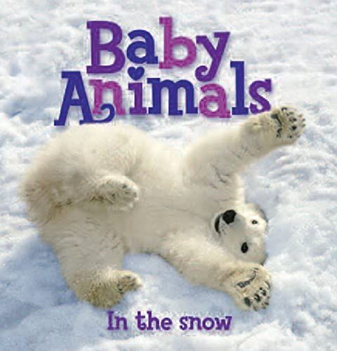 Baby Animals In The Snow