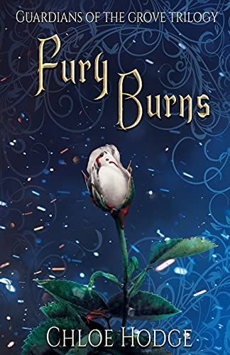 Fury Burns