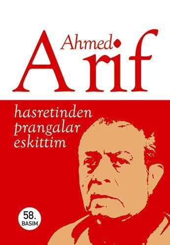 Hasretinden prangalar eskittim