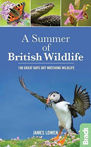 Bradt Guides: A Summer of British Wildlife