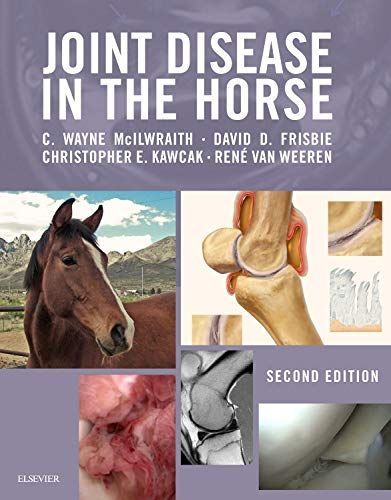 Joint Disease in the Horse