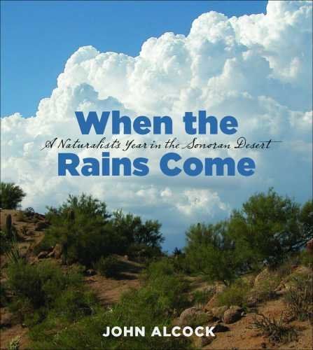 When the Rains Come