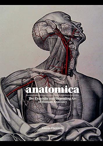 Anatomica