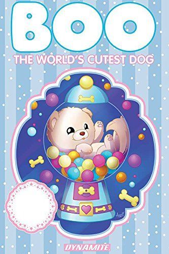 Boo The World's Cutest Dog: A Walk In The Park