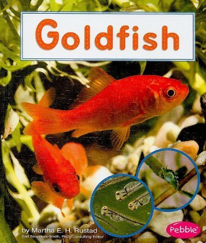 Goldfish