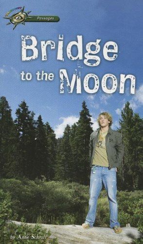 Bridge to the Moon