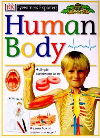 Human Body