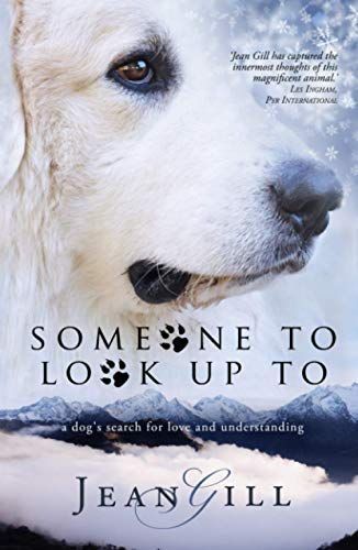Someone To Look Up To