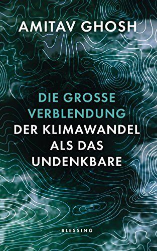 Die große Verblendung