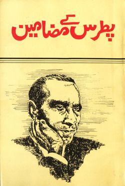 Patras Kay Mazameen / پطرس کے مضامین