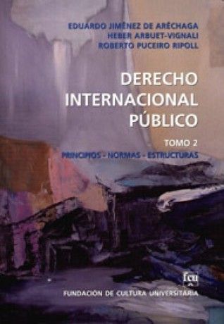 Derecho Internacional Público Tomo 2