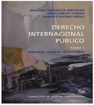 Derecho Internacional Público Tomo 1
