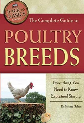 The Complete Guide to Poultry Breeds