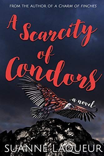 A Scarcity of Condors