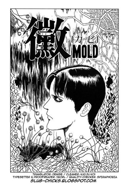 Mold