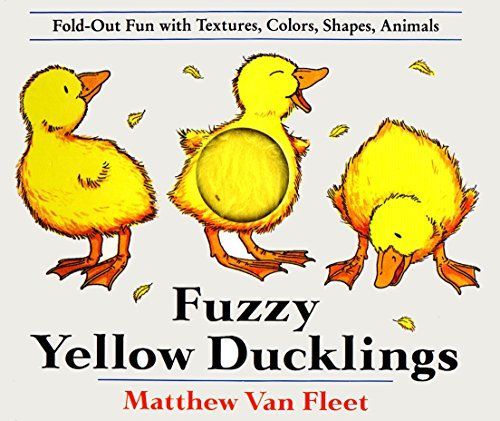 Fuzzy Yellow Ducklings