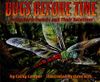 Bugs Before Time