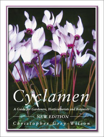 Cyclamen