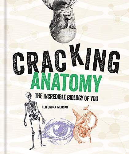 Cracking Anatomy