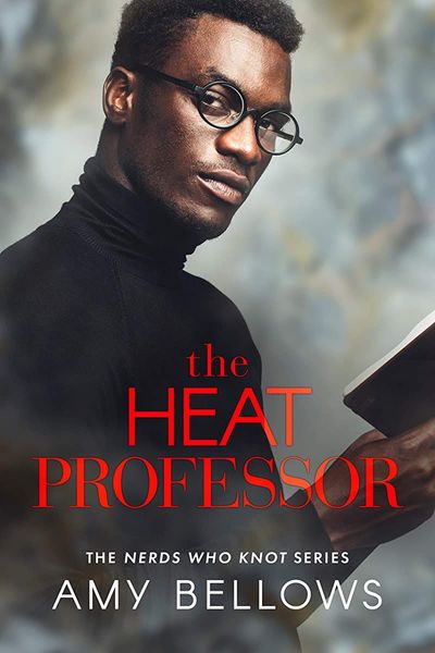 The Heat Professor