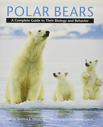 Polar Bears