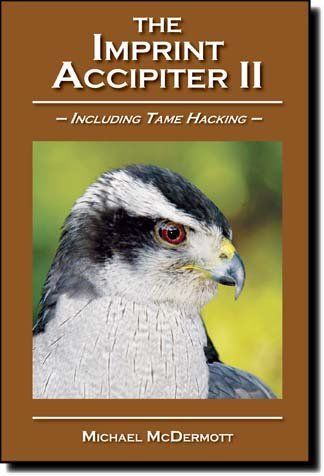 The Imprint Accipiter II