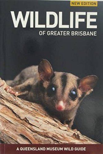 Wildlife of Greater Brisbane