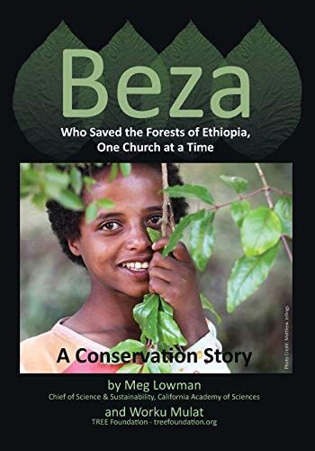 Beza, who Saved the Forests of Ethiopia, One Church at a Time