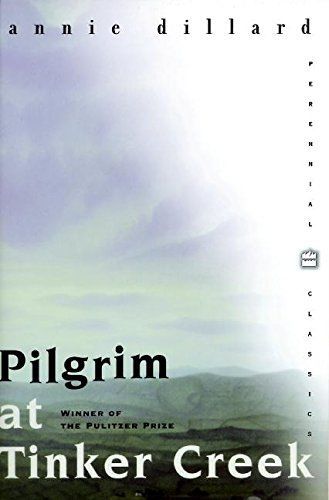 Pilgrim at Tinker Creek