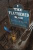 The Feathered Man