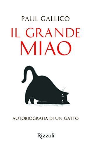 Il grande miao