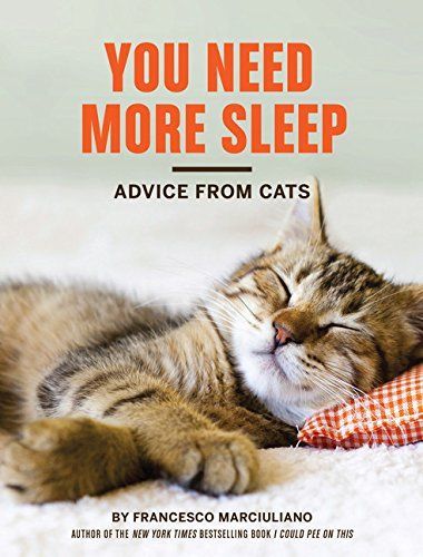 You Need More Sleep