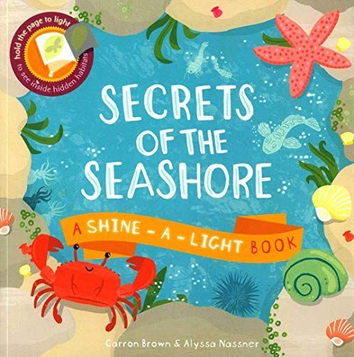 Secrets of the Seashore