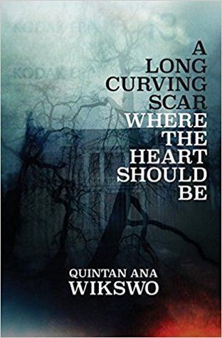 A Long Curving Scar Where the Heart Should Be