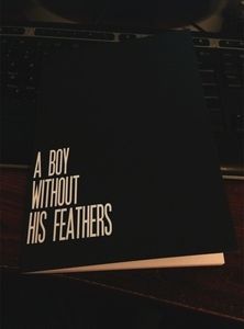 A Boy Without His Feathers