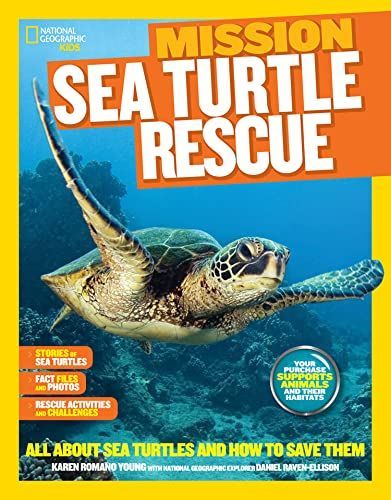 Sea Turtle Rescue