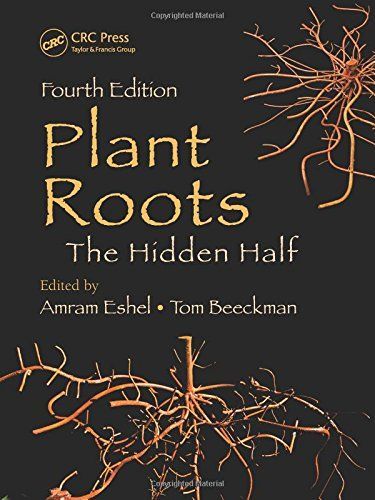 Plant Roots