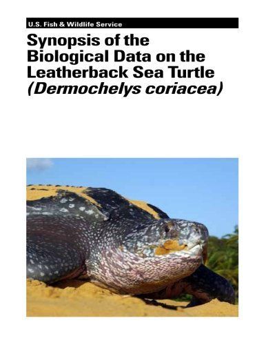 Synopsis of the Biological Data on the Leatherback Sea Turtle (Dermochelys Coriacea)