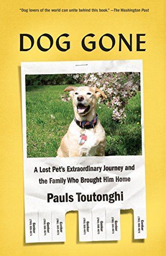 Dog Gone