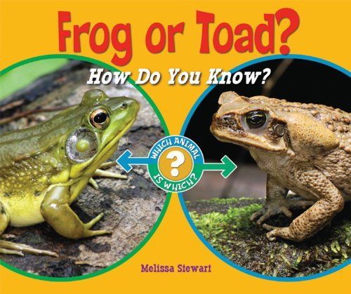 Frog or Toad?