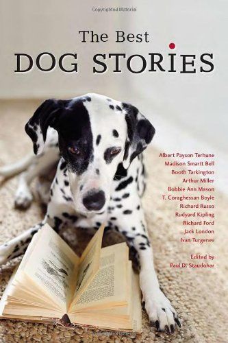 The Best Dog Stories